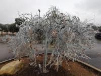 202302 AUS storm